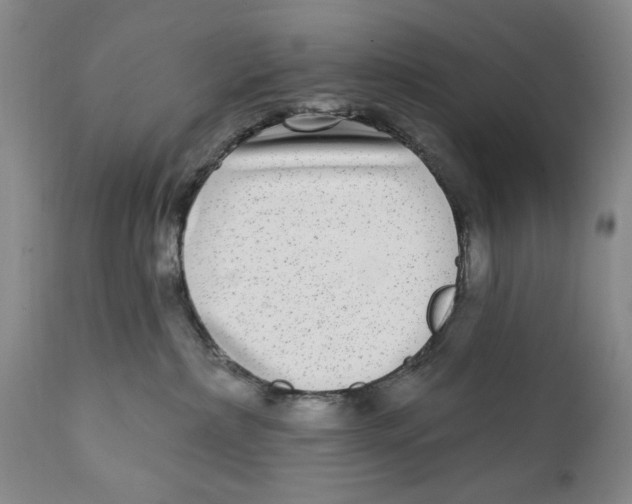 X0000112360236200909101305