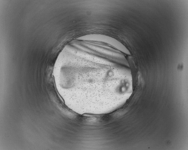 X0000112360237200909101305