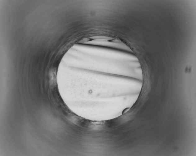 X0000112360240200909101305