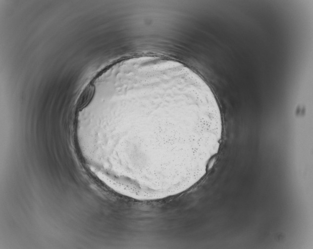 X0000112360241200909101304