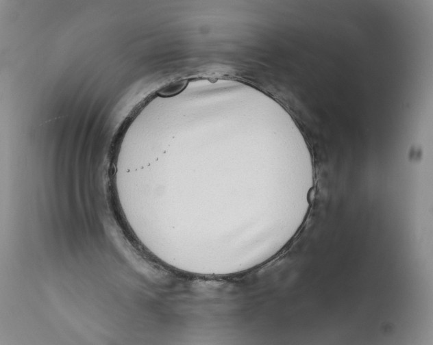X0000112360242200909101304