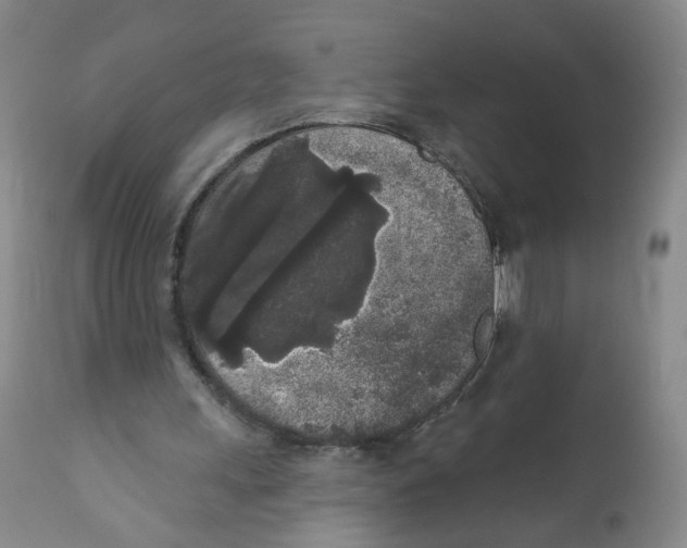 X0000112360243200909101304
