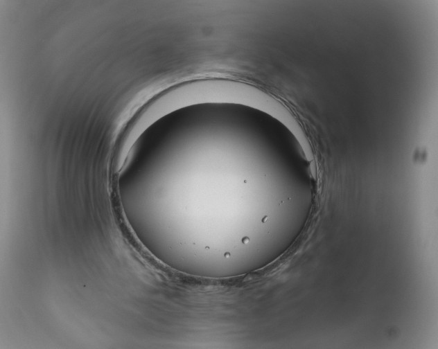 X0000112360244200909101304