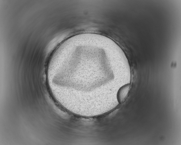 X0000112360245200909101304