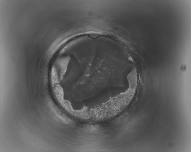 X0000112360247200909101304