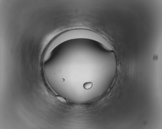 X0000112360248200909101304