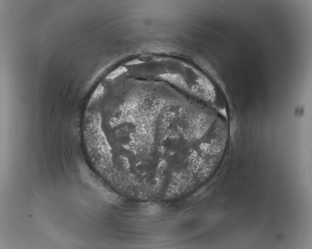 X0000112360249200909101304