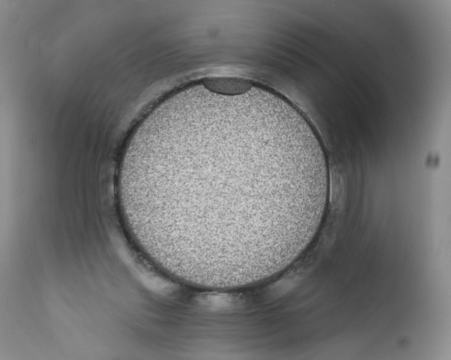 X0000112360253200909101304