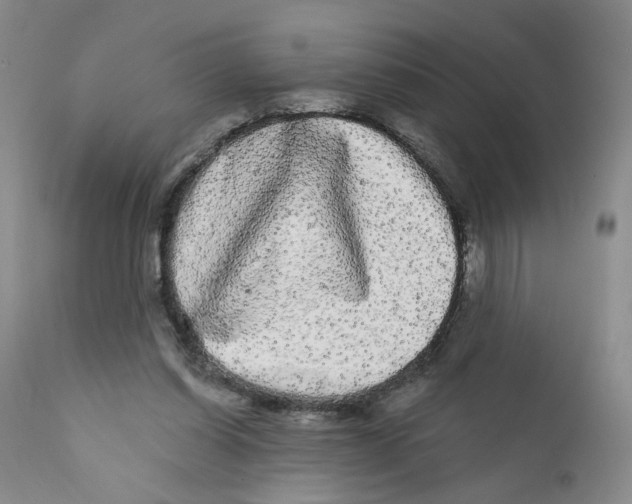 X0000112360254200909101304