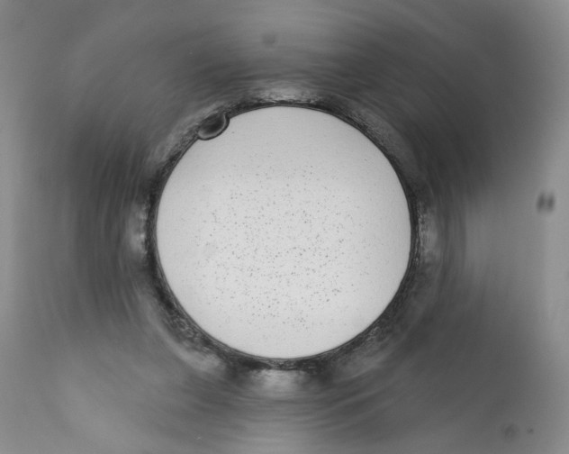 X0000112360255200909101304