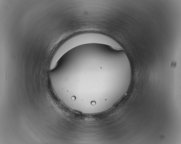 X0000112360256200909101304
