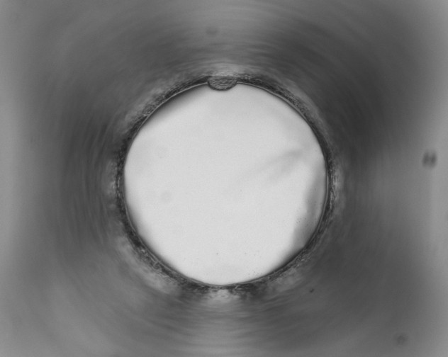X0000112360257200909101304