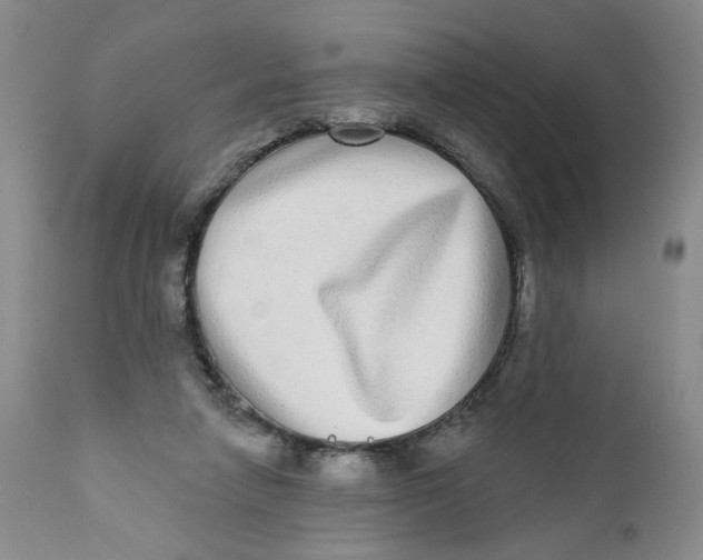 X0000112360258200909101304