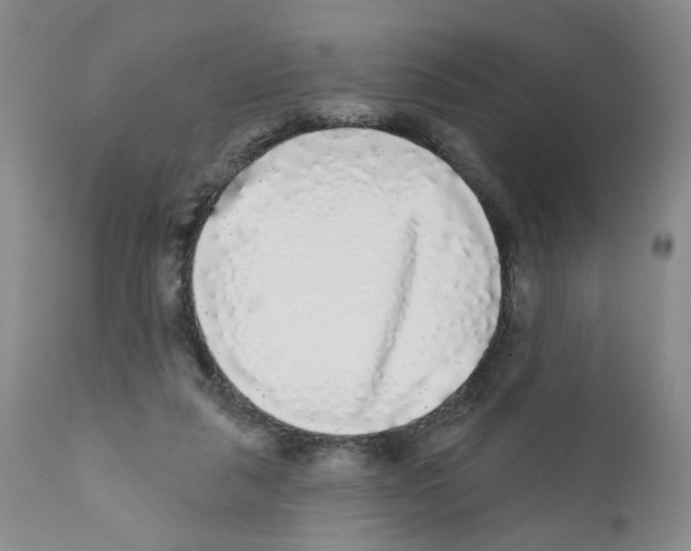 X0000112360259200909101304