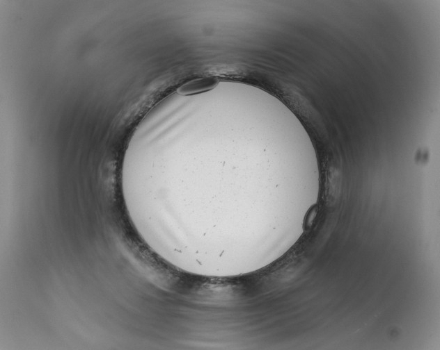 X0000112360260200909101304