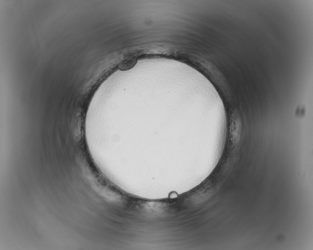 X0000112360261200909101304