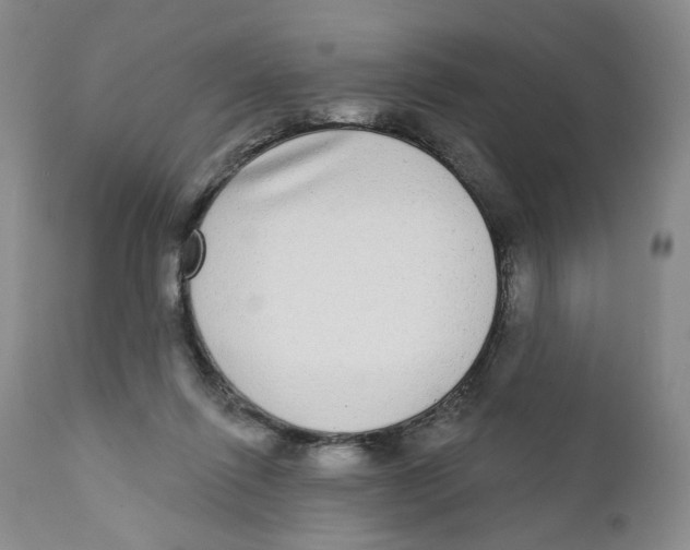 X0000112360262200909101304