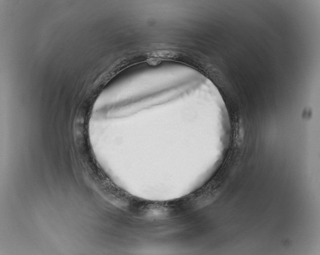 X0000112360263200909101304