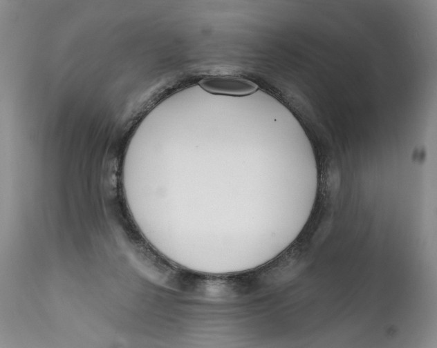 X0000112360264200909101304