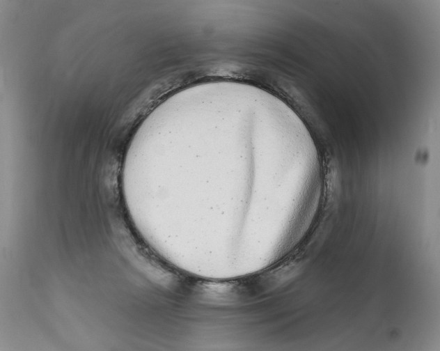 X0000112360265200909101304
