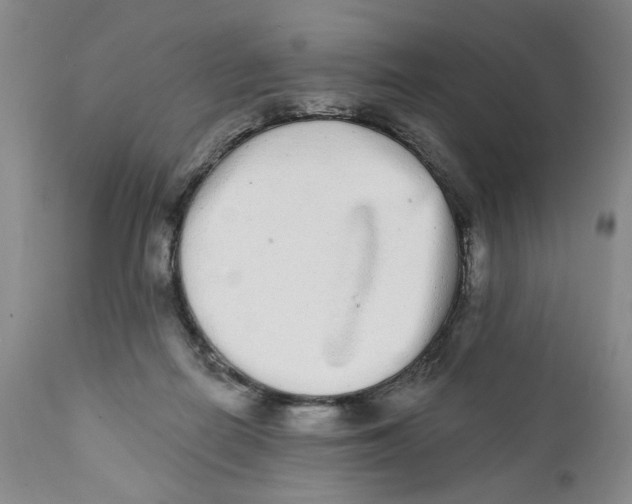 X0000112360266200909101304