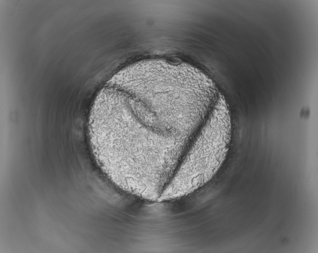 X0000112360269200909101304