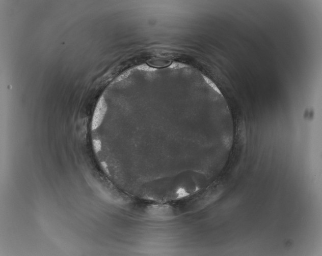 X0000112360271200909101304
