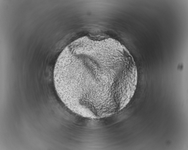 X0000112360273200909101304