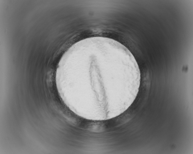 X0000112360275200909101304