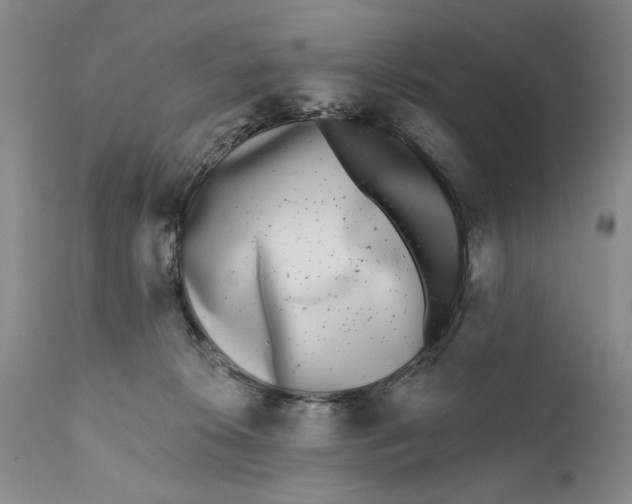 X0000112360276200909101304