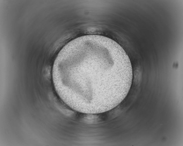 X0000112360278200909101304