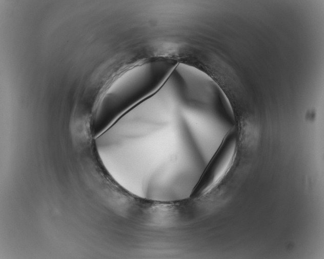 X0000112360280200909101305