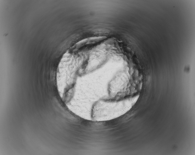 X0000112360281200909101305