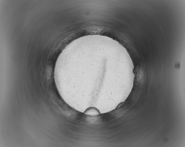 X0000112360283200909101305