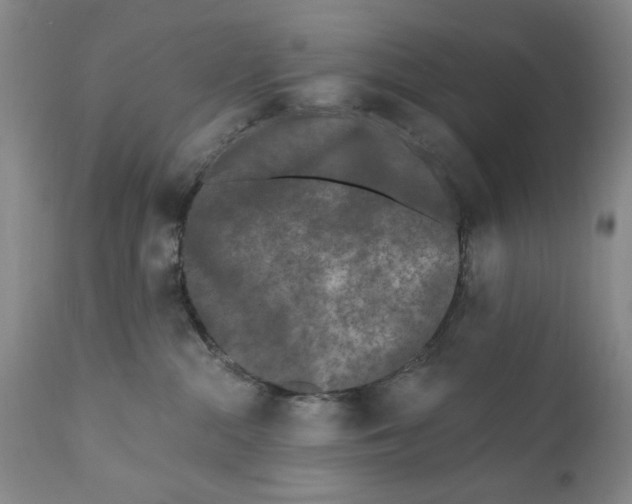 X0000112360284200909101305