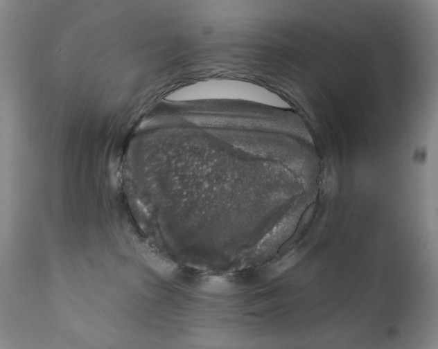 X0000112360285200909101305