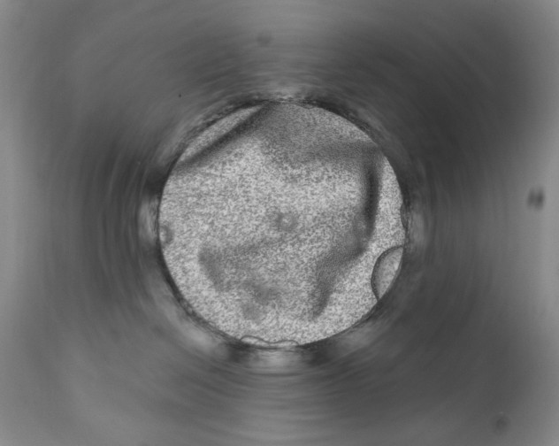 X0000112360286200909101305