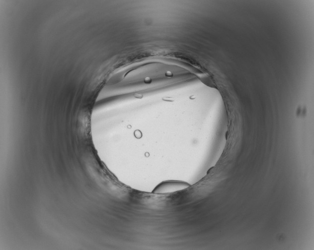 X0000112360288200909101305