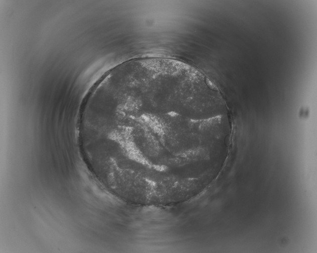 X0000112360290200909101304
