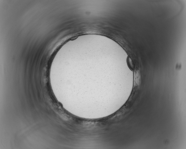 X0000112360291200909101304