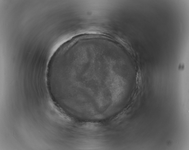 X0000112360292200909101304