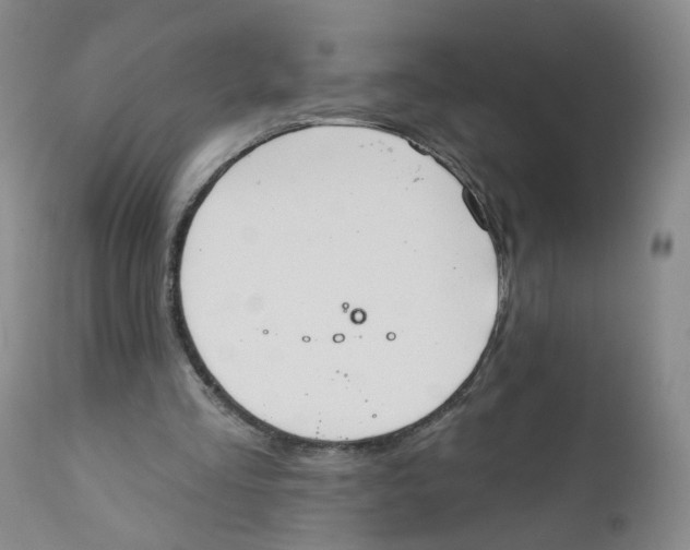 X0000112360293200909101304