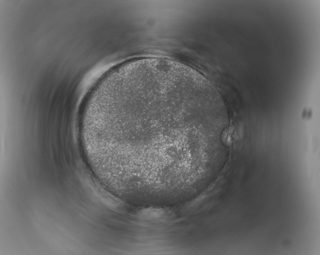X0000112360294200909101304