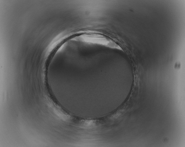 X0000112360295200909101304