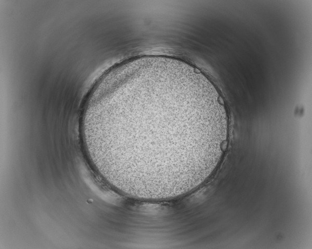 X0000112360298200909101304