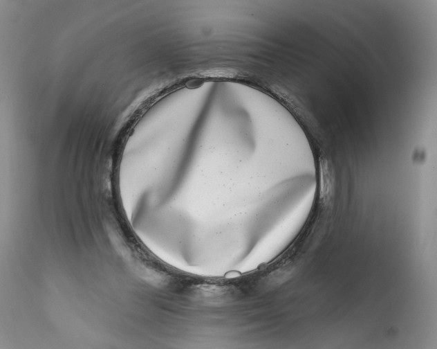X0000112360300200909101304