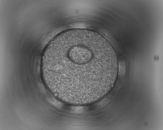 X0000112360301200909101304