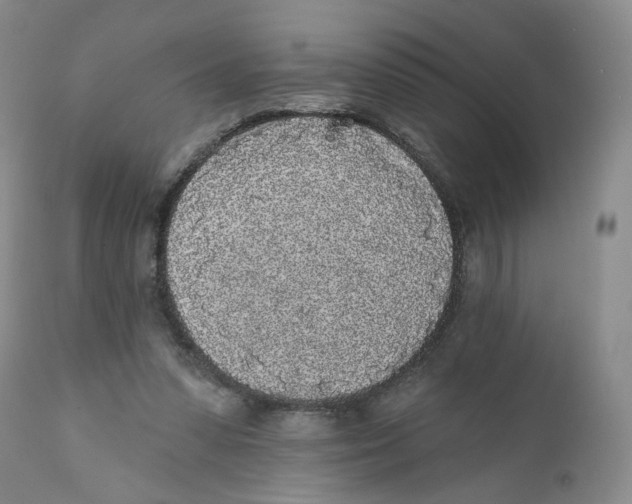 X0000112360303200909101304