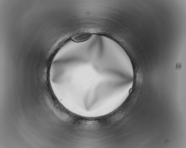 X0000112360304200909101304