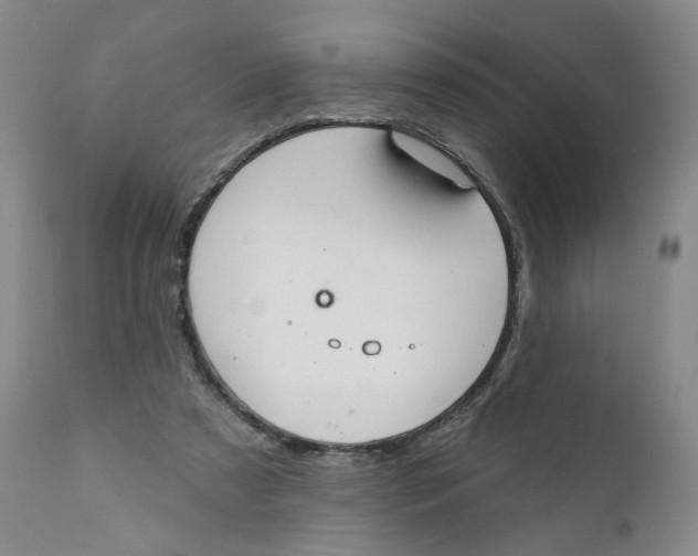 X0000112360305200909101304